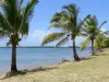 Старый Бур - Пляж Бабин и пальмы вдоль моря с видом на природный заповедник Гран-Куль-де-Сак-Марин