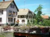 Сундгау - Цветущий мост, деревья и дома (деревня Хирцбах)