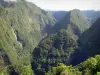 Такамака - Вид на долину Такамака с ее водопадами и зелеными горами
