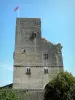 Термы-д'Арманьяк - Башня Термеса (крепость), остатки замка Тибо де Терм