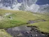 Трумус Цирк - Река усеяна пастбищами (газонами), на заднем плане цирковые горы; в Пиренейском национальном парке