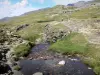 Трумус Цирк - Река, газон (пастбище) и тропинка, ведущая к бельведеру статуи Богородицы; в Пиренейском национальном парке
