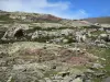 Трумус Цирк - Скалы, полевые цветы и луга; в Пиренейском национальном парке