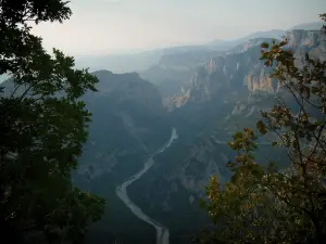 Ущелье дю Вердон - Из возвышенного Корниша открывается вид на ветви деревьев, реку и скалистые стены (известняковые скалы) каньона (Региональный природный парк Вердон)
