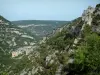 Ущелья Неску - Деревья, скалы и скалы каньона