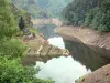 Ущелья Труйера - Вид на воды Труйера, усаженные деревьями