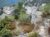 Хаос Монпелье-ле-Вьё - Разрушенные доломитовые породы и растительность, на Причале Нуар, в Региональном природном парке Гранд-Каус