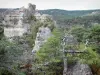 Хаос Монпелье-ле-Вьё - Разрушенные доломитовые скалы, в зелени