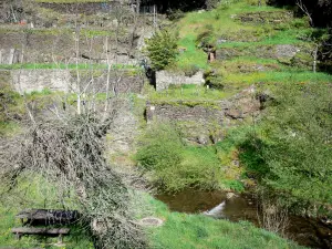 Черная гора - Террасные сады и стол для пикника на краю воды, в Рокфере