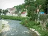 Шатонеф-сюр-Cher - Река Шер, деревья и дома города