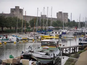 Эг-Морт - Марина с пришвартованными лодками и валами города на заднем плане