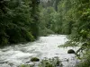 Юра пейзажи - Река усажена деревьями (лес)
