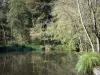 アイル・クレミウ高原 - 木が並ぶ池