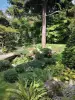 アルバート*カーン部門博物館の庭 - アルバート-カーン庭園の植物と樹木