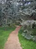 アルバート*カーン部門博物館の庭 - 青い森の中を歩く