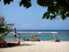 アンス=ベルトラン - カリブ海を見下ろす、La Chapelleビーチの細かい砂の上でのんびり