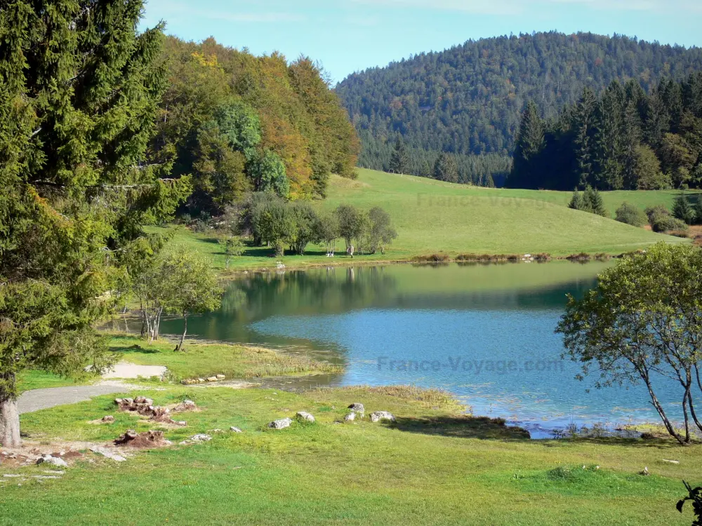 のアン県ガイド - アインの風景 - 牧草地と木々に囲まれたGenin Lake。 Upper Bugeyにある