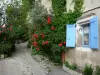 イルカ - 赤いバラ（ローズブッシュ）とプロヴァンスの村の車線で飾られた家のファサード