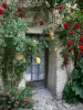 イルカ - 赤と黄色のバラ（バラを登る）で飾られた家のドア