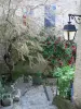 イルカ - 路地、住宅、街灯、上昇のバラ（赤いバラ）、木と植物