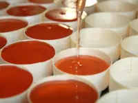 オルティアン コティニャック 美食 ヴァカンス ガイド オルティアン コティニャック 美食 ヴァカンス ガイド