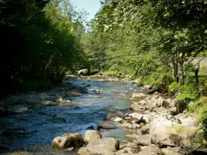 オルル渓谷 - OriègeValley：岩と木が並ぶOriège川