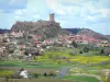 オートロワールの風景 - その玄武岩の塚と要塞の下の中世の村の家々の上に腰掛けたポリニャックの城の景色を望む、咲く草原が並ぶ道路