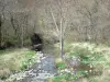 オートロワールの風景 - 木が並ぶ小さな川