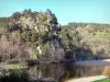オートロワールの風景 - アッパーロワール渓谷：野生と緑の中のロワール川