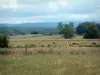オート・ソーヌの風景 - 草原、牧草地の牛、木々や森の背景