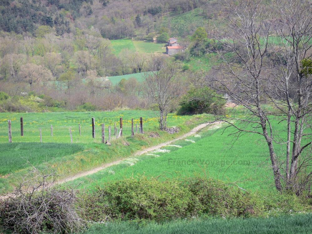 のオート・ロワール県ガイド - オートロワールの風景 - 牧草地に囲まれた経路