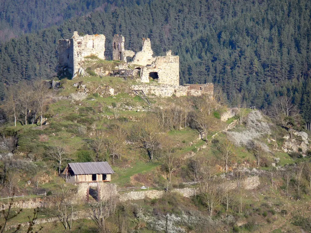 のオーヴェルニュ=ローヌ=アルプ地域圏ガイド - オートロワールの風景 - 樹木が茂った環境の中のBeaufort城、Goudetの遺跡