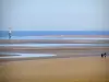 カブール - CôteFleurie：海辺のリゾート地の砂浜、散歩、海鳥、干潮時、海（チャンネル）