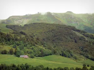 カンタル山脈 - オーヴェルニュ火山の地域自然公園：カンタル川、カンタル山脈の最高峰、およびその下の森の景色。