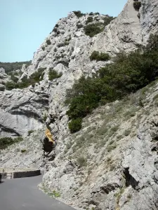 ガラマスの峡谷 - 峡谷の道を見下ろす岩の壁。 Fenouillèdesで