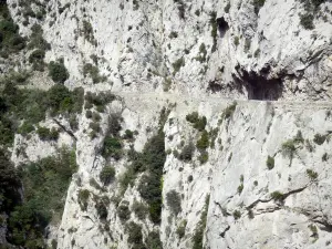 ガラマスの峡谷 - 石灰岩の崖の真ん中に道