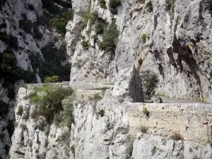 ガラマスの峡谷 - 峡谷の道