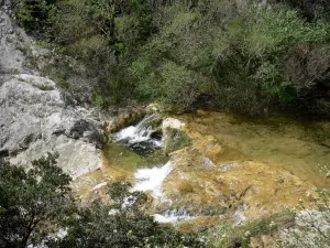 ガラマスの峡谷 - 水辺の木々