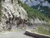 ガラマスの峡谷 - 道路の峡谷と岩の表面。 Fenouillèdesで