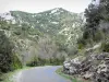 ガラマスの峡谷 - 緑に囲まれた峡谷の道。 Fenouillèdesで