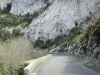 ガラマスの峡谷 - 峡谷の道を見下ろす岩の壁