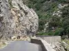 ガラマスの峡谷 - 峡谷の道