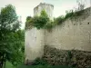 クードレイ・サルバト城 - 緑に囲まれた要塞の遺跡。エチレの町で