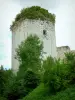 クードレイ・サルバト城 - 要塞の塔。エチレの町で