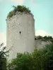 クードレイ・サルバト城 - 要塞の塔。エチレの町で