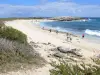 グアドループの風景