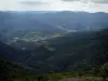 グランドバルーン - 山の頂上からは、森林や山々に覆われた丘の景色（地域自然公園バルソンデヴォージュ）