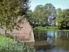 ケネスノイ - 要塞（城壁）、池（水の計画）、葦と木々。 Avesnoisの地域自然公園内