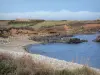 コティンティンの海岸線 - ロードキャップ：耳、湿原、小石のビーチ、岩、海（チャンネル）。コテンティン半島の風景