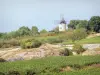 コート-ド-ボーヌのブドウ畑 - サンテナイのブドウ畑を見下ろすソリーヌ-ミル